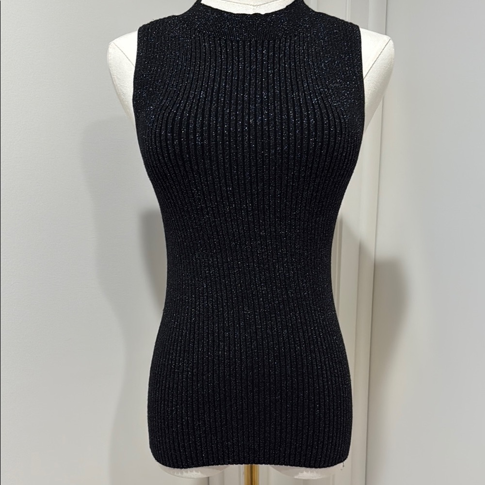 Michael Stars Black Sleeveless Ribbed with silver sparkle Knit Top